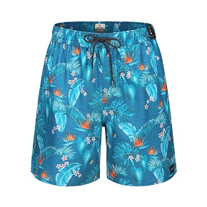 Boardshorts